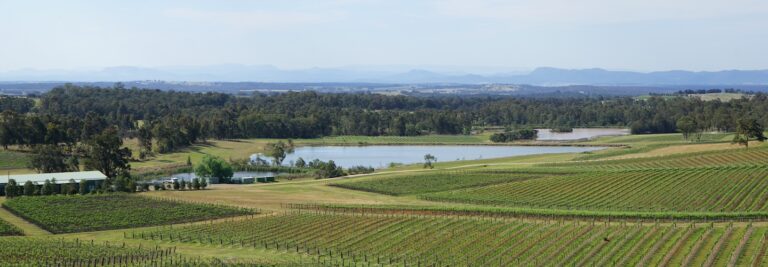 Best Suburbs in Hunter Valley to Live